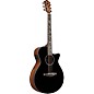 Ibanez AEG550 Bocote Acoustic-Electric Guitar Black Gloss