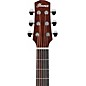 Ibanez AAD50 Advanced Acoustic Grand Dreadnought Guitar Natural Low Gloss