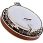 Recording King The Elite Hearts & Flowers Mahogany Resonator Banjo Natural