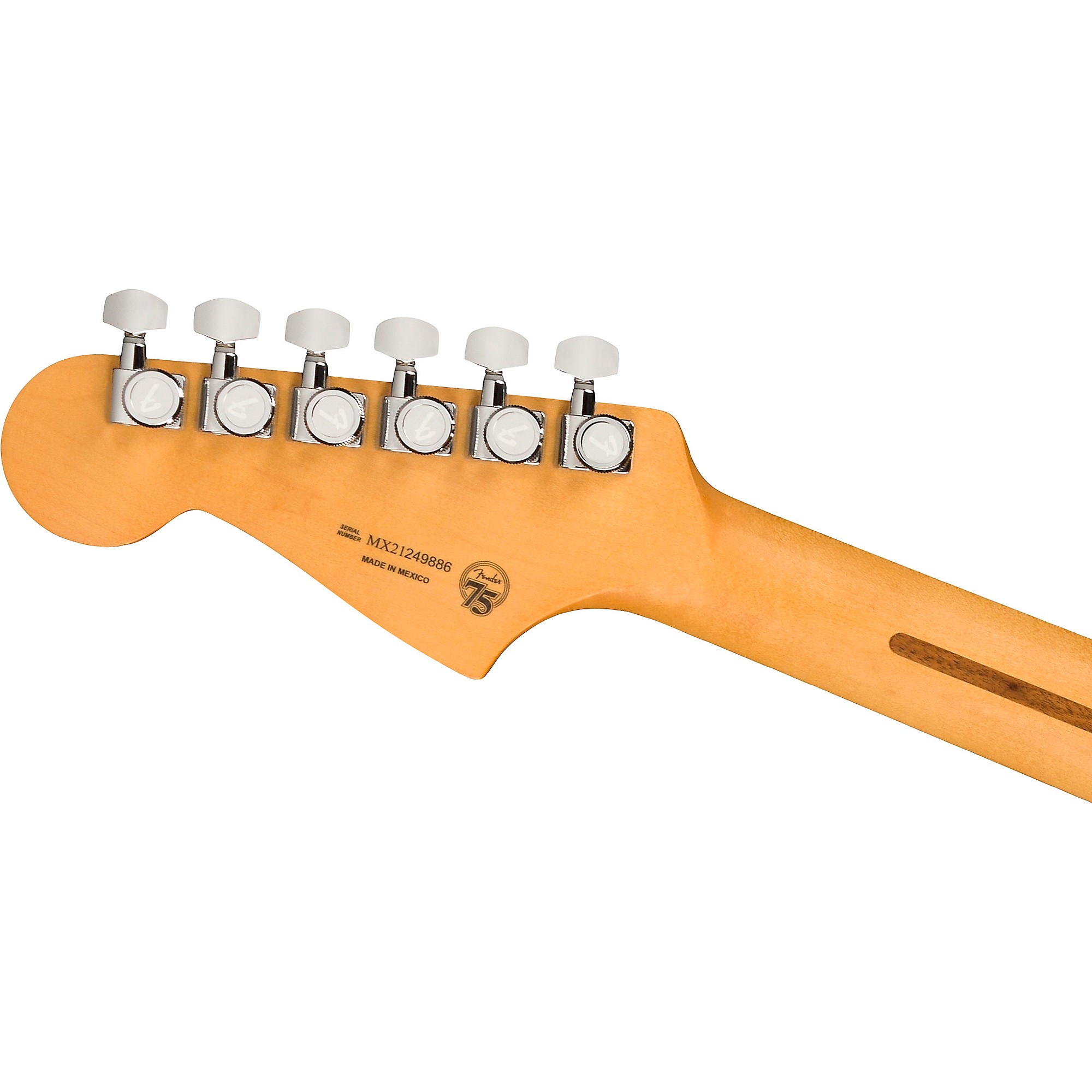 Fender Player Plus Meteora HH Pau Ferro Fingerboard Electric