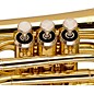 Stagg WS-TR245S Series Bb Pocket Trumpet Clear Lacquer