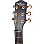 McPherson Carbon Series Touring With Gold Hardware Acoustic-Electric Guitar Camo Top