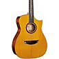Cort LUXE II Frank Gambale Signature Series Acoustic Electric Guitar Natural thumbnail
