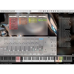 Vienna Symphonic Library Synchron Woodwinds Full Library Plug-In