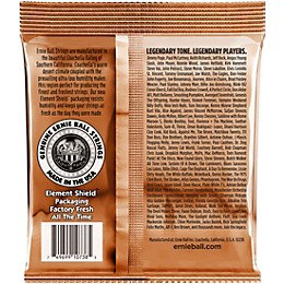 Ernie Ball Earthwood Custom Light Phosphor Bronze 12-String Acoustic Guitar Strings 10-48