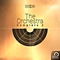 Best Service The Orchestra Complete 2 thumbnail