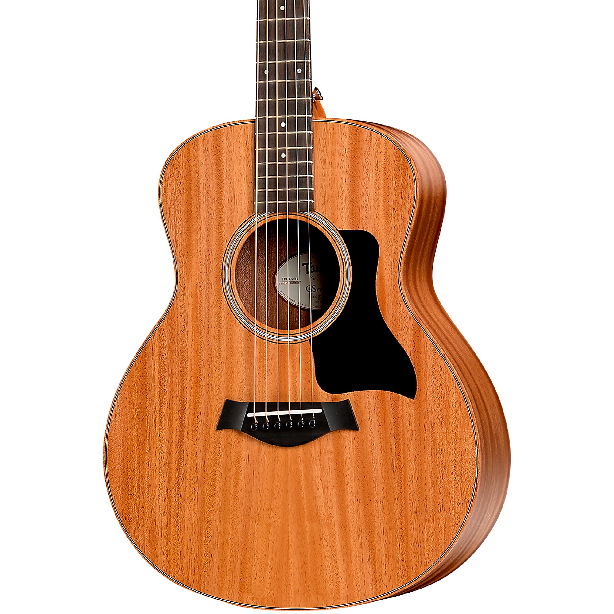 Taylor GS Mini RW/FALTD2013