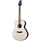 Breedlove Discovery S Concert European Spruce-African Mahogany Acoustic Guitar Natural