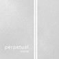 Pirastro Perpetual Series Viola D String 16+ in., Medium Silver, Ball End thumbnail