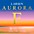 Larsen Strings Aurora Violin E String ... Larsen Strings Aurora Violin E String 4/4 Size Carbon Steel, Medium Gauge, Ball End