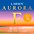 Larsen Strings Aurora Violin E String ... Larsen Strings Aurora Violin E String 3/4 Size Carbon Steel, Medium Gauge, Ball End