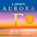 Larsen Strings Aurora Violin E String ... Larsen Strings Aurora Violin E String 1/2 Size Carbon Steel, Medium Gauge, Ball End