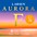 Larsen Strings Aurora Violin E String ... Larsen Strings Aurora Violin E String 1/8 Size Carbon Steel, Medium Gauge, Ball End