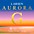 Larsen Strings Aurora Violin G String 1... Larsen Strings Aurora Violin G String 4/4 Size Silver Wound, Heavy Gauge, Ball End