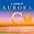 Larsen Strings Aurora Violin G String ... Larsen Strings Aurora Violin G String 1/2 Size Silver Wound, Medium Gauge, Ball End