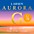 Larsen Strings Aurora Violin G String ... Larsen Strings Aurora Violin G String 1/8 Size Silver Wound, Medium Gauge, Ball End