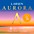 Larsen Strings Aurora Violin A Strin... Larsen Strings Aurora Violin A String 1/8 Size Aluminum Wound, Medium Gauge, Ball End