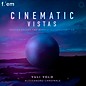 Tracktion Cinematic Vistas - Expansion Pack for F.'em thumbnail