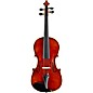 Nicolo Gabrieli 3182 Concert Model Viola 16.5 in. thumbnail