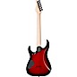 Schecter Guitar Research Custom Shop Sunset 24-6 Hipshot Electric Guitar Red Stain Black Burst