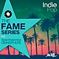 Ilio The Fame Series: Indie Pop - Patch Library for Omnisphere 2.6 or Higher thumbnail