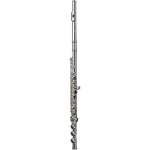 Di Zhao DZ 401 Student Flute, Open Hole, Y-arms, All Silver Plated with Silver Lip and Riser Offset G B-Foot