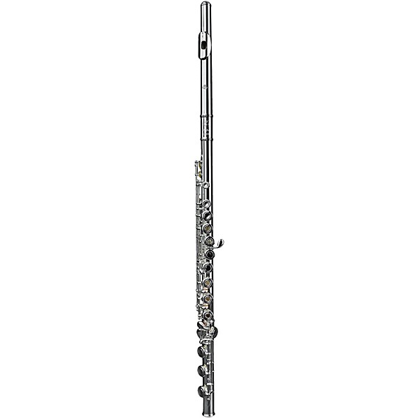 Di Zhao DZ 501 Intermediate Flute, Open Hole, Y-arms, Silver Headjoint, Silver Plated Body Offset G B-Foot