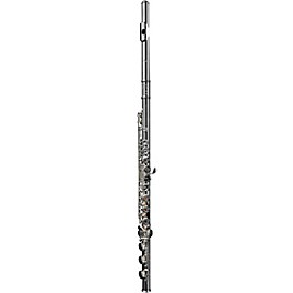 Di Zhao DZ 601 Intermediate Flute, Open Hole, Pointed Arms, Silver Headjoint, Silver Plated Dody Offset G B-Foot