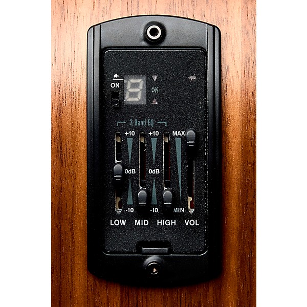 Taylor GS Mini-e Maple Acoustic-Electric Bass Natural