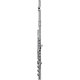 Di Zhao DZ801 Professional Flute, Open Hole, Pointed Arms, Silver Headjoint and Body Offset G B-Foot