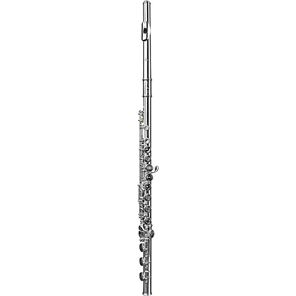 Di Zhao DZ801 Professional Flute, Open Hole, Pointed Arms, Silver Headjoint and Body Offset G B-Foot