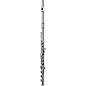 Di Zhao DZ801 Professional Flute, Open Hole, Pointed Arms, Silver Headjoint and Body Offset G B-Foot thumbnail