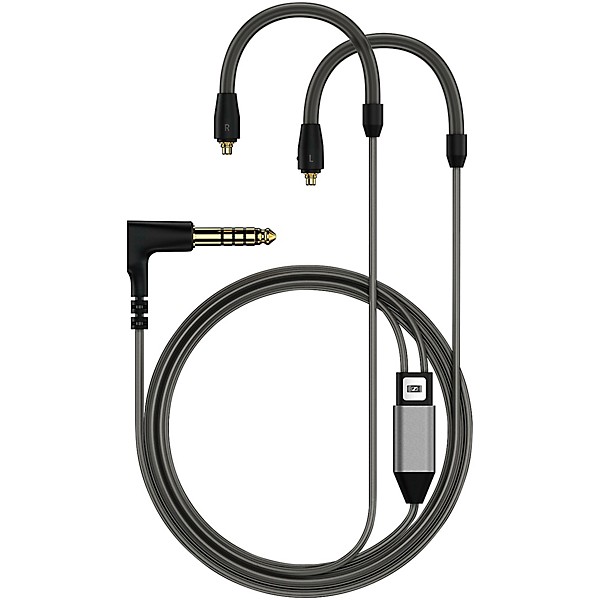 Sennheiser IE 300 High Fidelity Earphones | Guitar Center