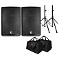 Kustom KPX Passive Speaker Package With Stands and Tote Bags 12" Mains thumbnail
