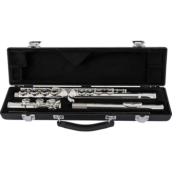 Armstrong AFL201 Closed-Hole Student Flute Offset G C-Foot