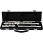 Armstrong AFL201 Closed-Hole Student Flute Offset G C-Foot