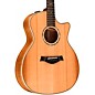 Taylor 514ce LTD Grand Auditorium Acoustic-Electric Guitar Natural thumbnail