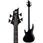 ESP LTD B-4 Electric Bass Guitar Ebony Charcoal Burst Satin