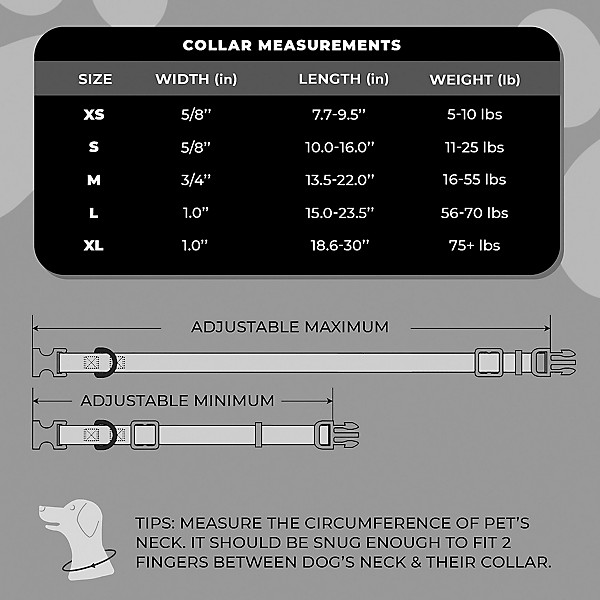 Perri's ACDC Logo Dog Collar Black/White Medium