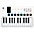 Arturia MiniLab 3 Hybrid Keyboard Controller Deep Black Arturia MiniLab 3 Hybrid Keyboard Controller White