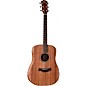 Taylor Big Baby Walnut Acoustic Guitar Natural