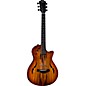 Taylor T5z Classic Sassafras Acoustic-Electric Guitar Shaded Edge Burst