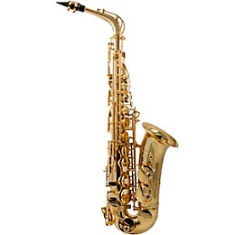 Allora AAS-250 Student Alto Saxophone Value Bundle