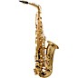 Allora AAS-250 Student Alto Saxophone Value Bundle