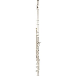 Allora Play It Again Deluxe Flute Kit