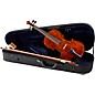 Bellafina Musicale Violin Value Kit 4/4