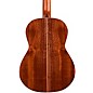 Godin Concert Clasica II Nylon String Classical Electric Guitar Natural