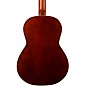 Godin Etude Clasica II Nylon String Classical Electric Guitar Natural
