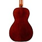 Godin Motif Clasica II Nylon String Parlour Classical Electric Guitar Natural