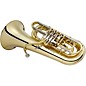 Jupiter JTU1140 Performance Series 4-Valve 3/4 BBb Tuba with Tuba Essentials Stand Pack